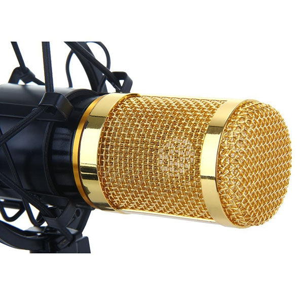 BM-800 Condenser Studio Microphone with Shock Mount